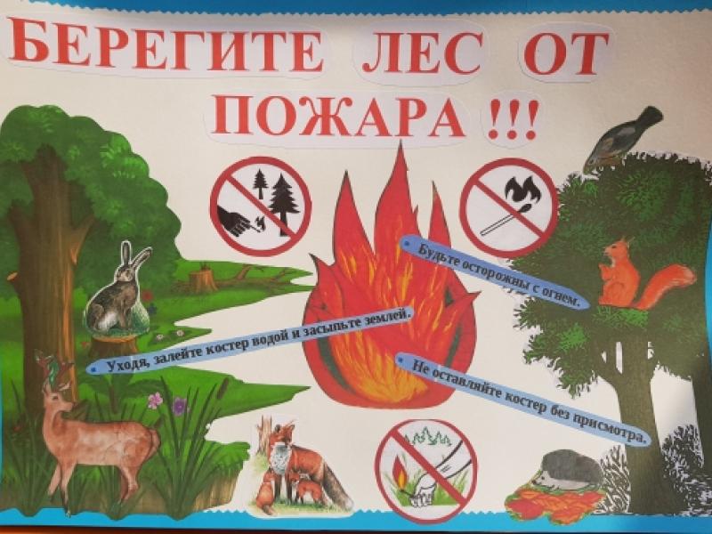 плакат "Берегите лес!"